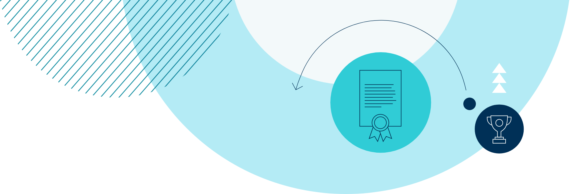 入学资格与学费 | 苏州市相城区诺德学校 - 08 - Feature Cards Pattern