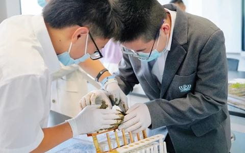 返校集结完毕|苏诺学子元气回归! - WELCOMEBACK